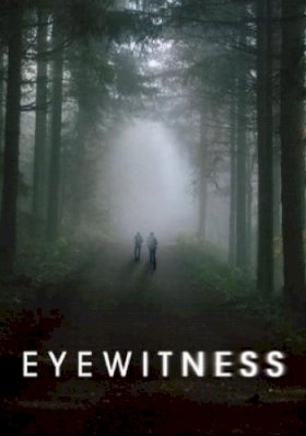 Постер «Свидетели (2016)»
